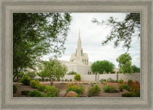 Load image into Gallery viewer, Phoenix Spring Blooms
