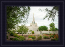 Load image into Gallery viewer, Phoenix Spring Blooms
