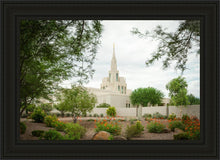 Load image into Gallery viewer, Phoenix Spring Blooms
