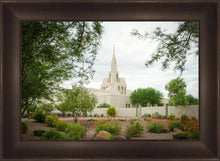 Load image into Gallery viewer, Phoenix Spring Blooms
