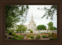 Load image into Gallery viewer, Phoenix Spring Blooms

