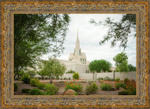 Load image into Gallery viewer, Phoenix Spring Blooms
