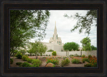 Load image into Gallery viewer, Phoenix Spring Blooms
