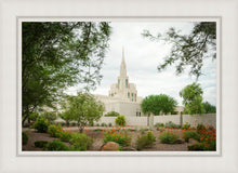 Load image into Gallery viewer, Phoenix Spring Blooms

