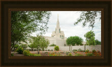 Load image into Gallery viewer, Phoenix Spring Blooms

