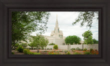 Load image into Gallery viewer, Phoenix Spring Blooms
