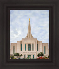 Load image into Gallery viewer, Gilbert Spring in Bloom
