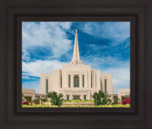 Load image into Gallery viewer, Gilbert Summer Joy
