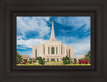 Load image into Gallery viewer, Gilbert Summer Joy
