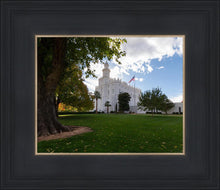Load image into Gallery viewer, Saint George Fall Leaves
