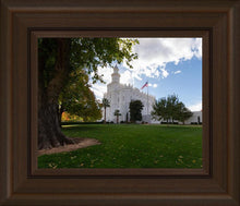 Load image into Gallery viewer, Saint George Fall Leaves
