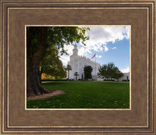 Load image into Gallery viewer, Saint George Fall Leaves
