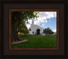 Load image into Gallery viewer, Saint George Fall Leaves
