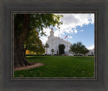 Load image into Gallery viewer, Saint George Fall Leaves
