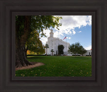 Load image into Gallery viewer, Saint George Fall Leaves
