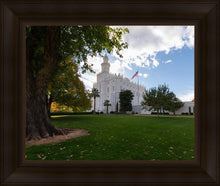 Load image into Gallery viewer, Saint George Fall Leaves
