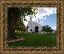 Load image into Gallery viewer, Saint George Fall Leaves
