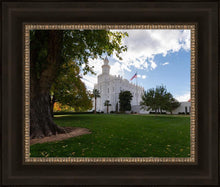 Load image into Gallery viewer, Saint George Fall Leaves
