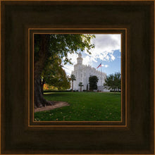 Load image into Gallery viewer, Saint George Fall Leaves
