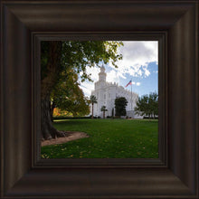 Load image into Gallery viewer, Saint George Fall Leaves
