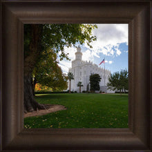 Load image into Gallery viewer, Saint George Fall Leaves
