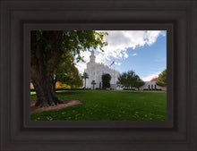 Load image into Gallery viewer, Saint George Fall Leaves
