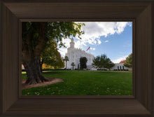 Load image into Gallery viewer, Saint George Fall Leaves
