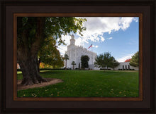 Load image into Gallery viewer, Saint George Fall Leaves
