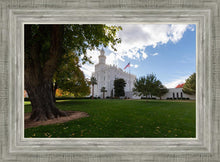 Load image into Gallery viewer, Saint George Fall Leaves
