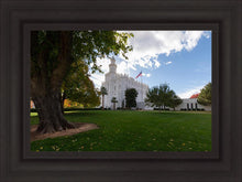 Load image into Gallery viewer, Saint George Fall Leaves
