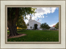 Load image into Gallery viewer, Saint George Fall Leaves
