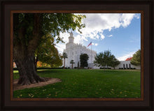 Load image into Gallery viewer, Saint George Fall Leaves

