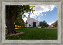 Load image into Gallery viewer, Saint George Fall Leaves
