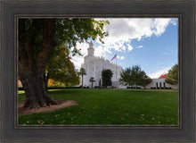 Load image into Gallery viewer, Saint George Fall Leaves
