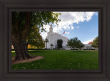 Load image into Gallery viewer, Saint George Fall Leaves
