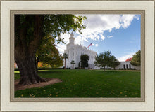 Load image into Gallery viewer, Saint George Fall Leaves
