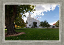 Load image into Gallery viewer, Saint George Fall Leaves
