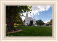 Load image into Gallery viewer, Saint George Fall Leaves
