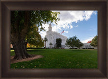 Load image into Gallery viewer, Saint George Fall Leaves
