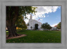 Load image into Gallery viewer, Saint George Fall Leaves

