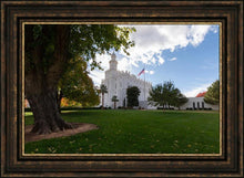 Load image into Gallery viewer, Saint George Fall Leaves

