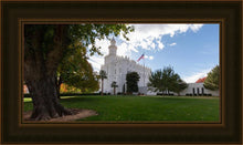 Load image into Gallery viewer, Saint George Fall Leaves
