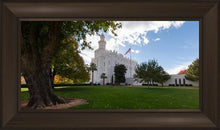 Load image into Gallery viewer, Saint George Fall Leaves
