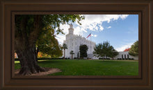 Load image into Gallery viewer, Saint George Fall Leaves
