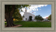 Load image into Gallery viewer, Saint George Fall Leaves

