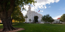 Load image into Gallery viewer, Saint George Fall Leaves
