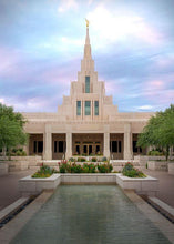 Load image into Gallery viewer, Phoenix Temple Cultivating Goodness

