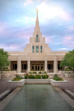Load image into Gallery viewer, Phoenix Temple Cultivating Goodness
