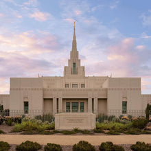 Load image into Gallery viewer, Phoenix Temple Spring is Here
