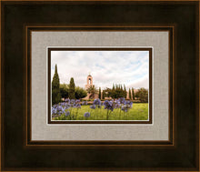 Load image into Gallery viewer, Newport Beach California Blooming Afternoon
